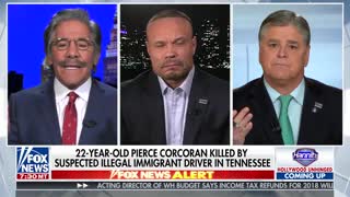 Hannity, Geraldo and Dan Bongino argue over border wall