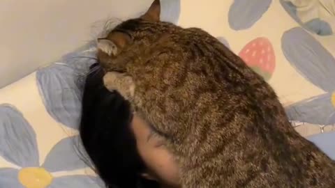 Cat Face Hug