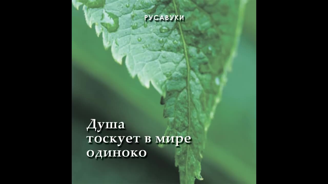 Русавуки - "Душа тоскует в мире одиноко" (2001)