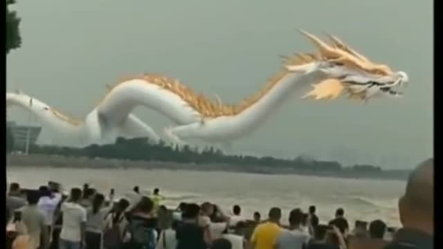 Tik Tok Chinese Dragon