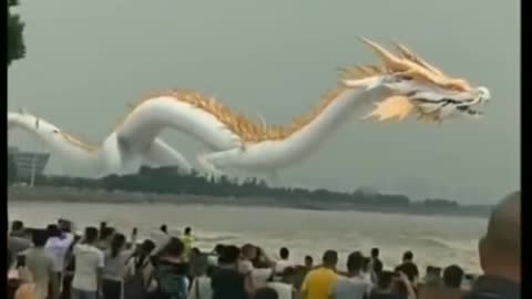 Tik Tok Chinese Dragon