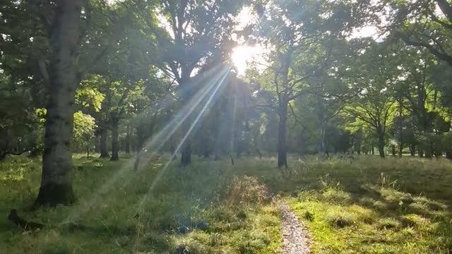 Nature walk