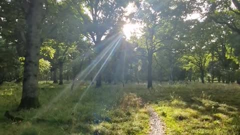 Nature walk