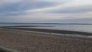 Sounds of the sea on a beach