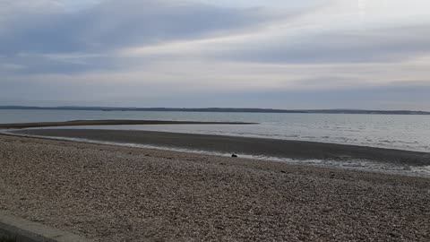 Sounds of the sea on a beach