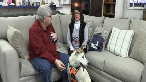 PET OF THE WEEK - meet Oliver - www.HumaneSocietyofBlueRidge.org