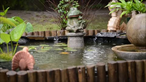 relaxing looking at the rain on the edge of the fish pond