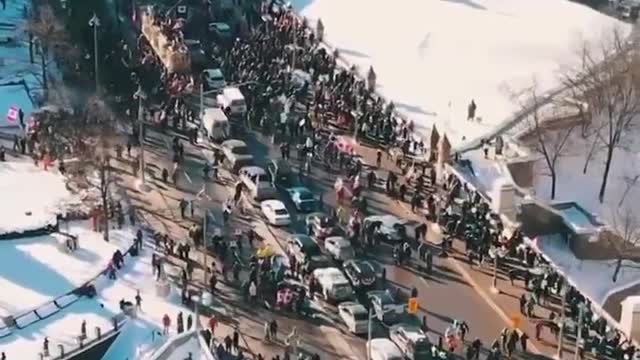 Massive crowds of people at Freedom Demonstrations in Canada