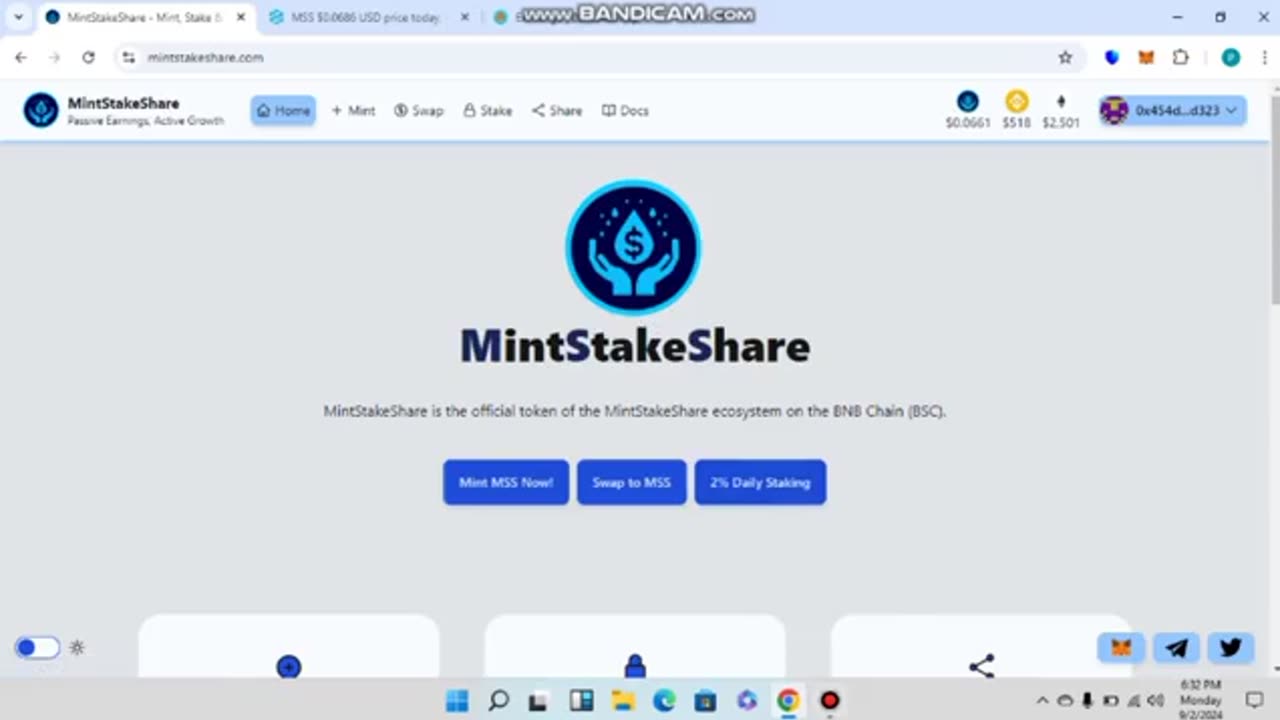 HOW TO EARN DAILY 2% STEADY INCOME WITH MINTSTAKE SHARES