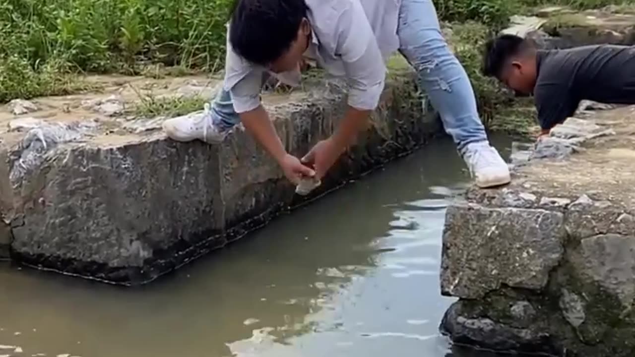 Funny video