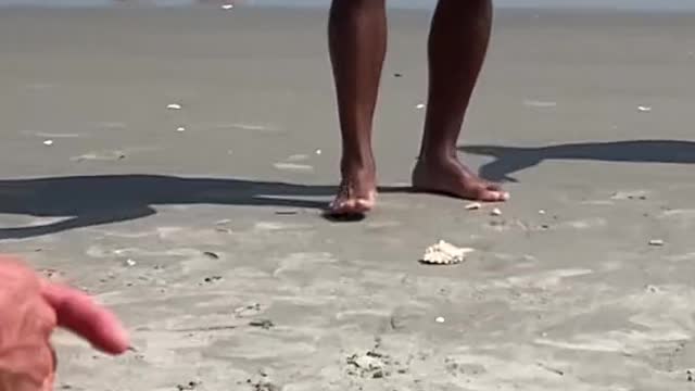 My dad tied fishing line to a shell to fish for people