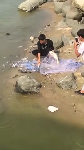 Watch this guy fishing, I'm amazed...