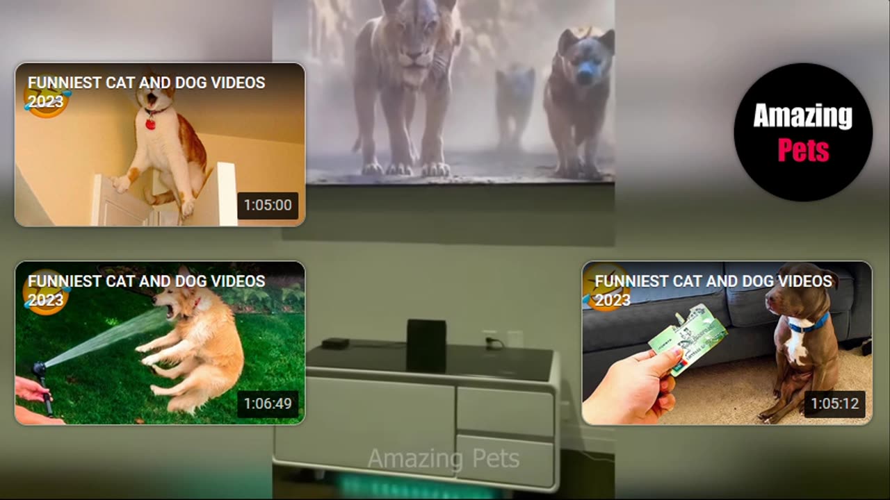 😆Angry Cats vs Funny Dogs 🙀😆