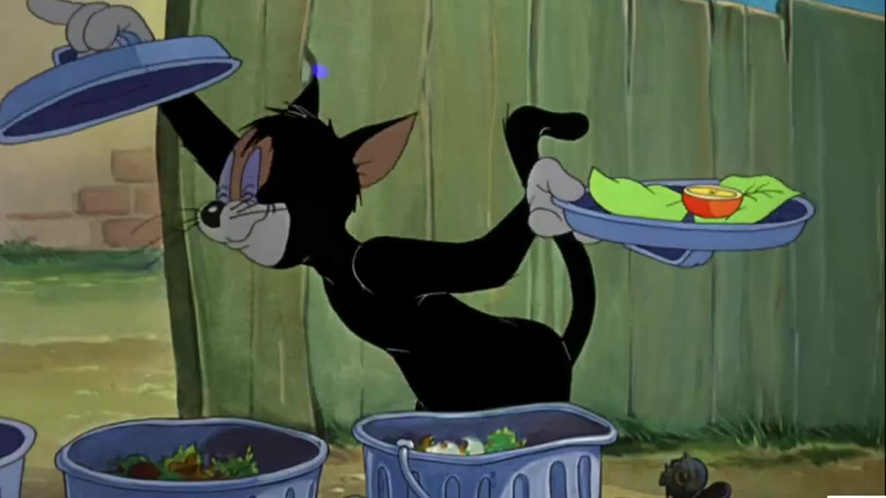 Tom and Jerry