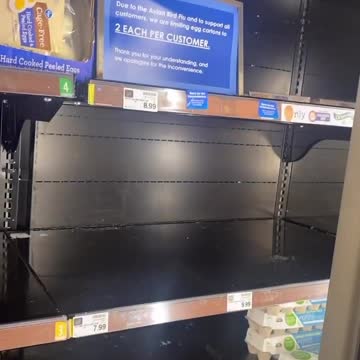 Egg shortage is real