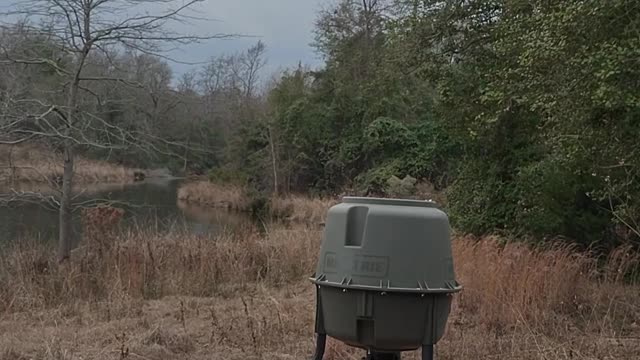 Fast Feeder