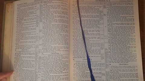 Genesis 6