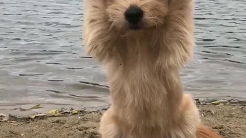 Play by the river