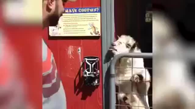 What's the Secrete Password?