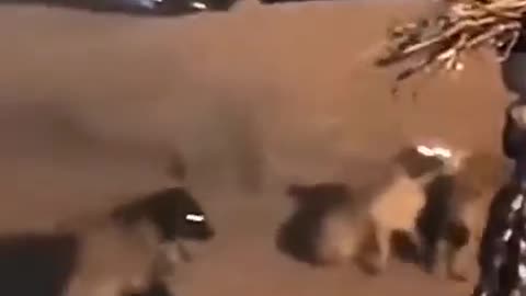 Fearless African Woman