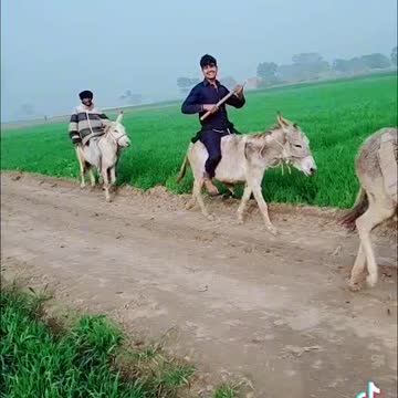 Turkey drama funny seen