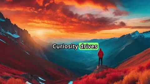 The Role of Curiosity Cultivating a Habit of Lifelong Learning