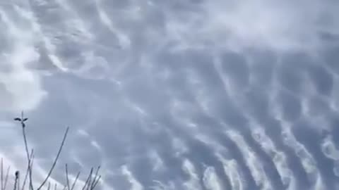 CHEMTRAILS