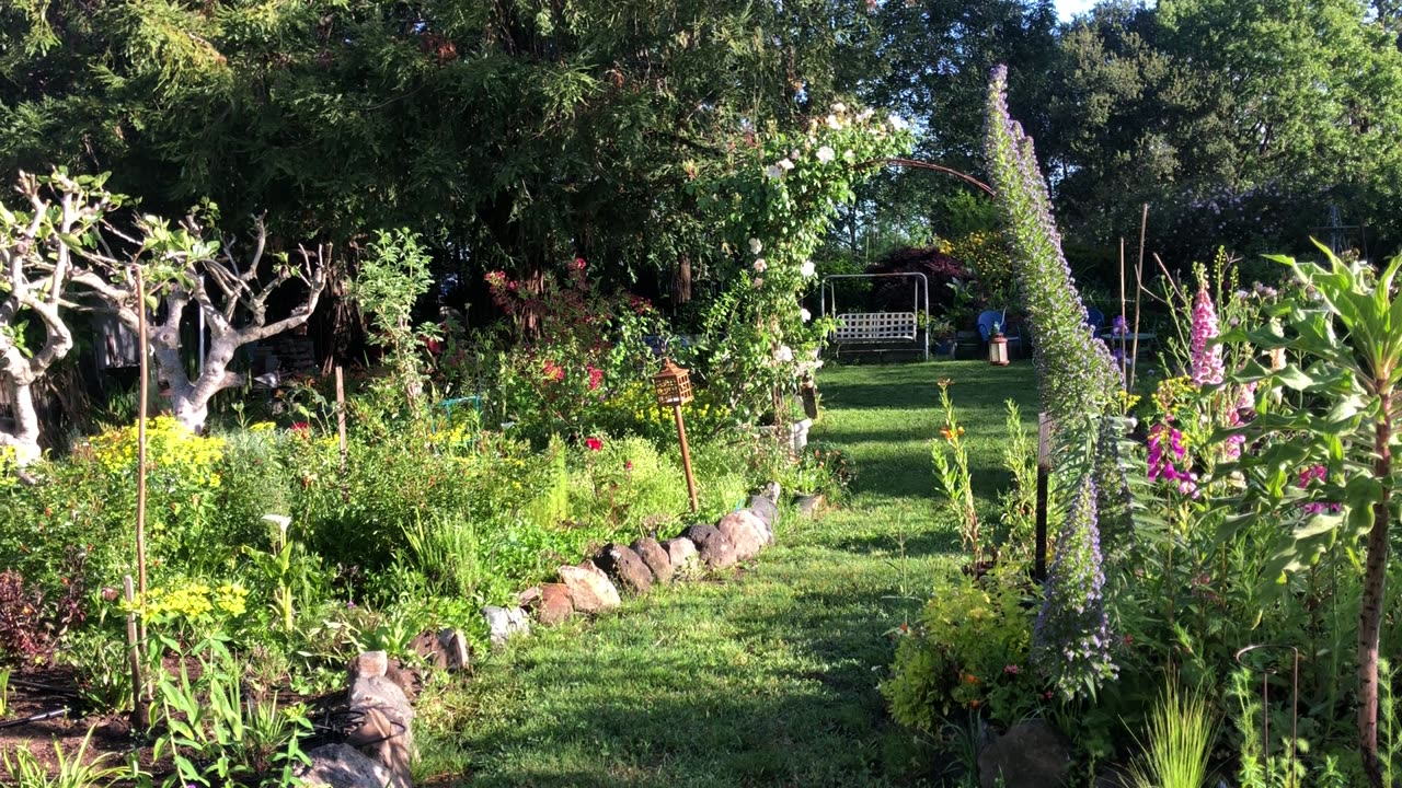 Happy May Day! Early Morning Slow Garden pan & Garden sounds