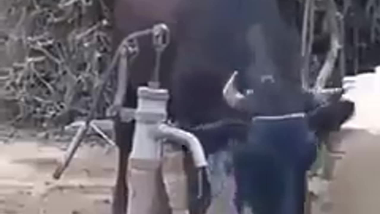 Smart