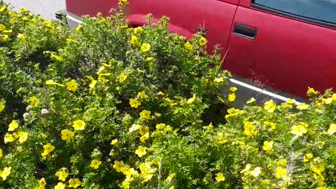 USA, thankful for her and most thankful to know Jesus Christ.