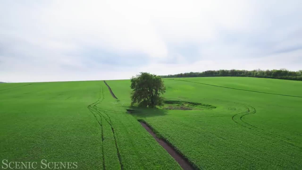 Our Green Planet - Nature Views With Relaxing Music