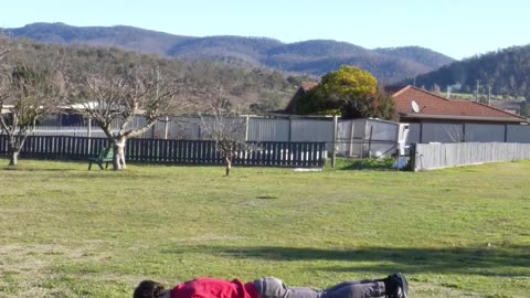 If animal glitch in real life #viral #funny #meme