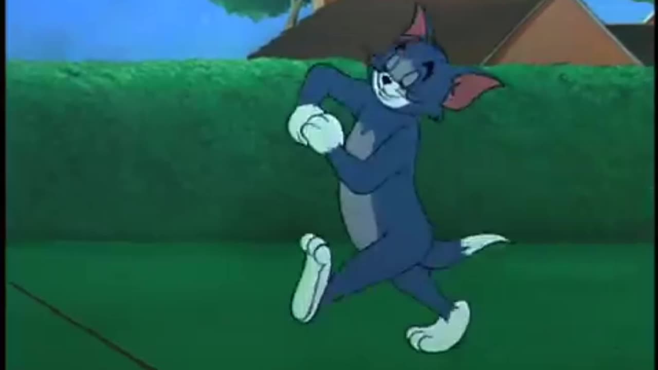 Tom and Jerry - || Fit to be tied