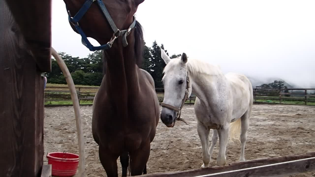 2021-8-22 turn out-２