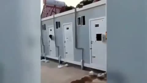 WARNING: CCP China Isolation Pods!!!