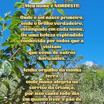 MEU NORDESTE BRASILEIRO.