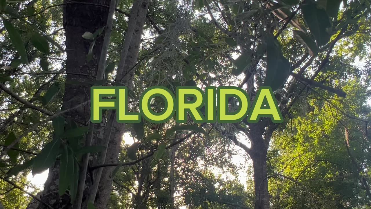 Florida