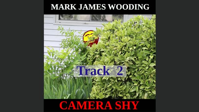 Camera Shy - Track 02