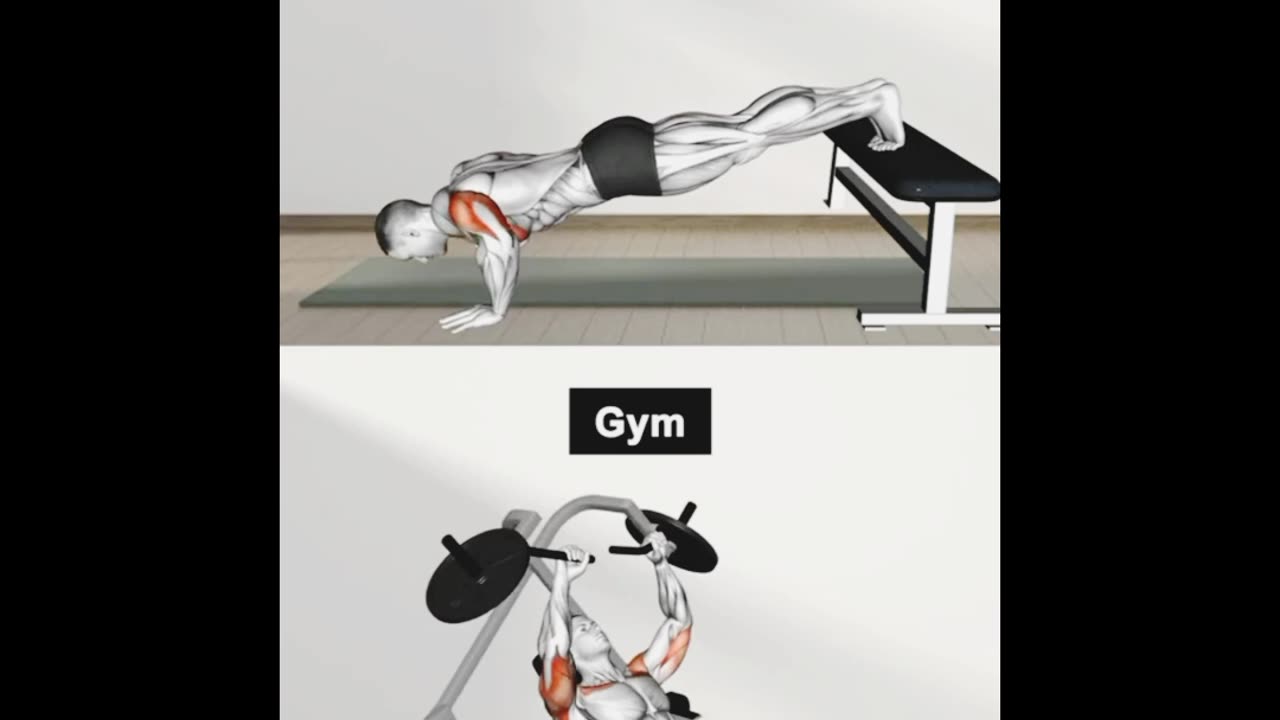 Gym workout tips