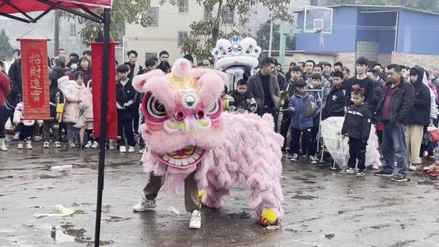 Watch the lion dance, it's so lively