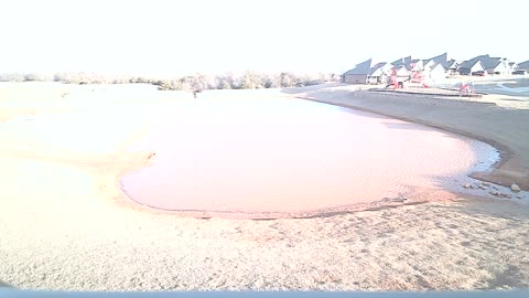 The Pond 12/28