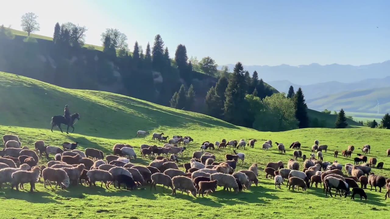beautiful landscape