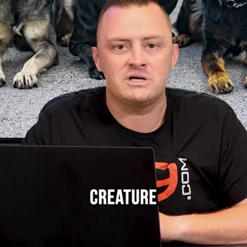 Top 3 Small Dog Breeds We DON’T Recommend