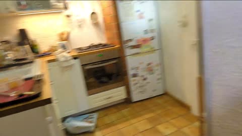 2022-11-15 (14) - (live sans titre) - Twitch Triskelina