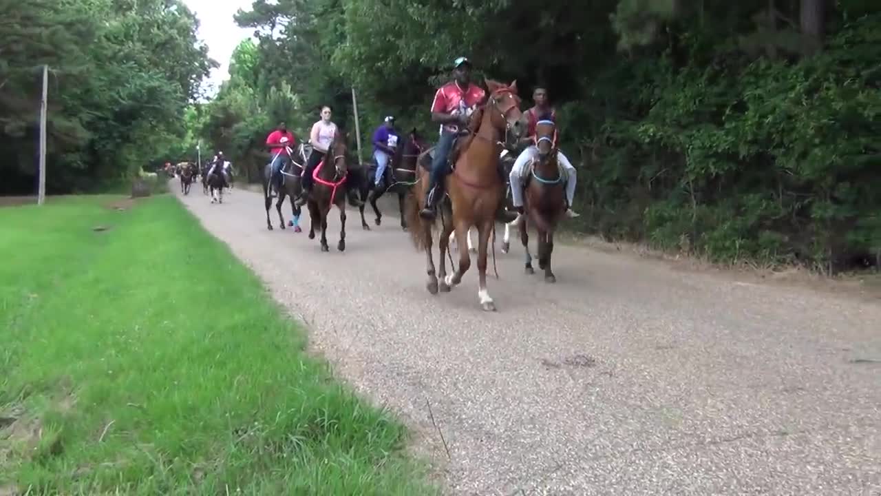 "BIG" Front Action Ryders Annual Walking Horse Trail Ride in Ogden, Arkansas-15