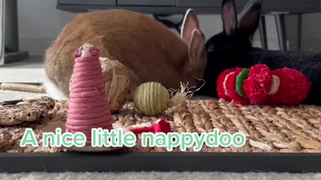 Gonna lay right here and have myself a little nappy