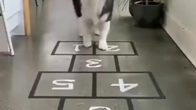 Hopscotch game