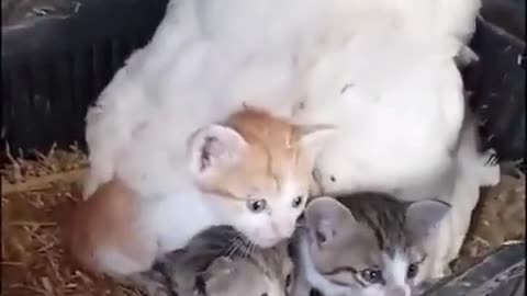 Frens take care of each other