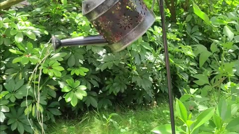 solar watering can lights,A factory that specializes in developing explosive products#solarlights
