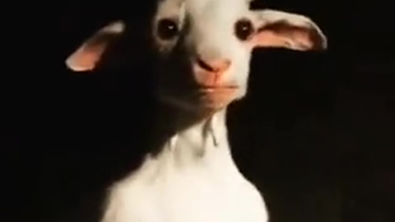 JUST A SIMPLE GOAT